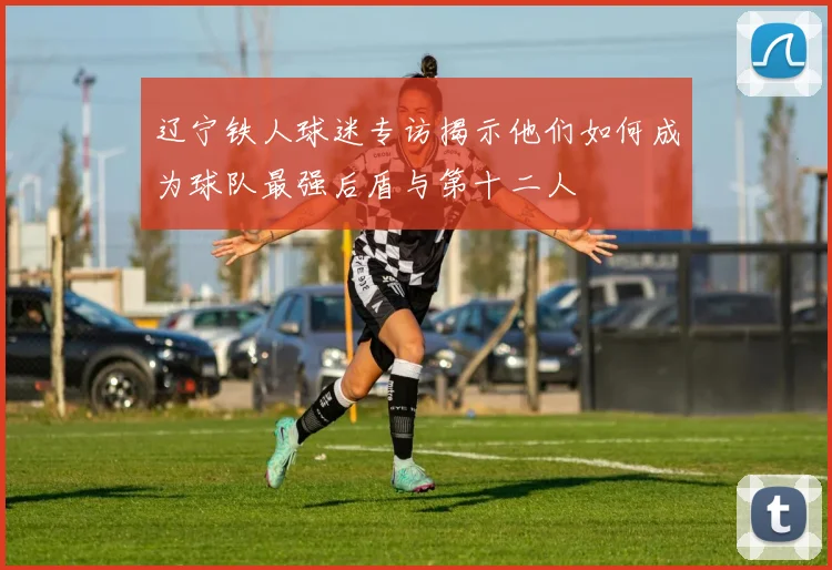 辽宁铁人球迷专访揭示他们如何成为球队最强后盾与第十二人