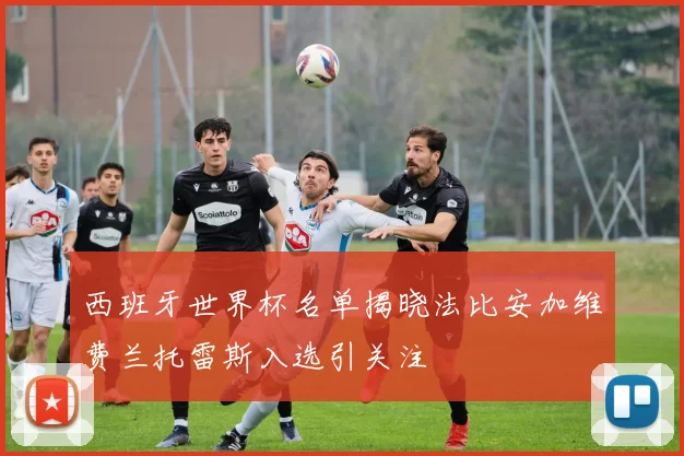 西班牙世界杯名单揭晓法比安加维费兰托雷斯入选引关注