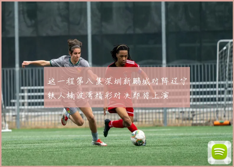 这一程第八集深圳新鹏城对阵辽宁铁人楠波湾精彩对决即将上演